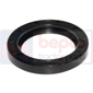 SEAL 31.8x43.40x5.30mm        , Ford, 00 - 4400