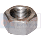 CENTRE BEAM NUT         , Massey Ferguson, 4300 - 4315