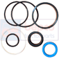 RAM SEAL KIT         , Landini, Large - 9550