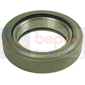 , Fiat, Clutch, Clutch assembly and plate, Release bearing