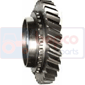 GEAR, DRIVEN , Fiat, Transmission, Gear box, Clutch shaft