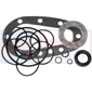 STEERING BOX SEAL KIT         , Ford, Skidded - 5190