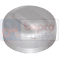 HUB CAP         , Zetor, UR I - 6011 (5901)