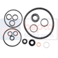 HYDRAULIC PUMP REPAIR KIT         , Massey Ferguson,  - 20D