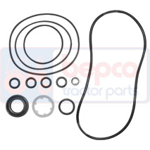 HYDRAULIC PUMP REPAIR KIT , David Brown, 1200 - 1210, distribution-couplers-screw jacks, Hydraulic distributors, Miscelleanous feeders, K964935, , HYDRAULIC PUMP REPAIR KIT , 20/575-206, K964935, , 0.04 kg