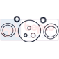 HYDRAULIC PUMP REPAIR KIT , Massey Ferguson, 200 (Brasil - South Africa) - 290, Hydraulic pumps and motors, Hydraulic pumps, Spare parts - Fittings - Repair kits