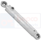 STEERING CYLINDER , Deutz, Agrosun - Agrosun 120, Steering, Steering, Steering cylinder and related parts