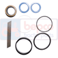 SEAL KIT         , Massey Ferguson, 300 - 364VQ