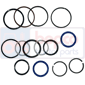 SEALS AND GASKET KIT , Valmet, 65 - 465, Steering, Steering, Steering cylinder and related parts