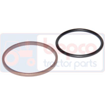 SEAL KIT , Case-IH, Steering, Steering, Steering cylinder and related parts, 81346C1, , SEAL KIT , 25/585-41, 81346C1, , 0.01 kg