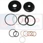 SEAL KIT , Zetor, Steering, Steering, Steering cylinder and related parts