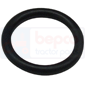 SUMP PLUG GASKET         , Massey Ferguson, 6400 - 6465