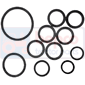 REPAIR KIT         , Ford, Skidded - 4190