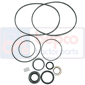 SEAL KIT         , Ford, 00 - 7100