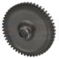 GEAR + WASHER         , Ford, 00 - 3100