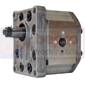 HYD. PUMP ASSY         , Massey Ferguson, 1000 - 1114