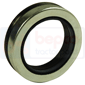 OIL SEAL 46x65x15.7, Fiat, Transmission, Front axle 4WD, Inlet case