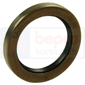 HALF SHAFT SEAL 40x55x7,2        , Landini, 80 - 8880HC