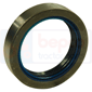 OIL SEAL 58x80x16,5        , Deutz, Agrostar - Agrostar 6.61