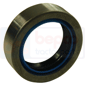 INNER BEARING         , Deutz, DX6 - DX6.10