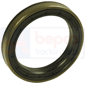 OUTER BEARING 70x95x13/14,5        , Deutz, Agrostar - Agrostar 6.81