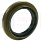 REAR AXLE SEAL 80x120x11/22,5        , Fendt, Farmer 300 - 303LS