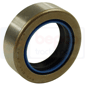 HALF SHAFT SEAL 40x60x18,5mm        , Massey Ferguson, 3000 - 3065