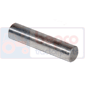 NEEDLE ROLLER         , Massey Ferguson, 3000 - 3065