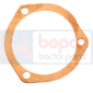 GASKET         , Massey Ferguson, 200 (Brasil - South Africa) - 290