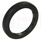 OIL SEAL 60x80x10        , Fendt, Various models - Various models