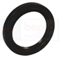 OIL SEAL 65x90x10        , Fendt, Various models - Various models