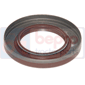 OIL SEAL , Fiat, Seals, Oil seal, Oil seals (specific)