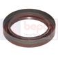 OIL SEAL 54x72x10, Fiat, Seals, Oil seal, Oil seals (specific)