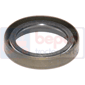 OIL SEAL 25x35x7, Fiat, Seals, Oil seal, Oil seals (specific)