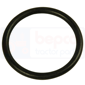 GASKET         , Case-IH, BD - DGD4