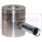 PISTON & PIN         , Zetor, UR I - 5211 (5201)