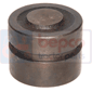 PISTON  , Ford, 10 - 2110, Linkage and lifting, Lifting drive, Hydraulic lift cylinder