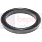 RAM CYL PISTON SEAL         , Ford, 00 - 6700