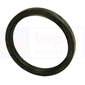 PISTON SEAL         , Deutz, Agrostar Freisicht - Agrostar 4.78 Freisicht