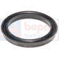 PISTON SEAL         , Ford, 00 - 4400