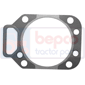 CYLINDER HEAD GASKET         , Fendt, Farmer 300 - 307LSA