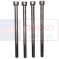 SCREW SET         , Massey Ferguson, 300 - 374SP