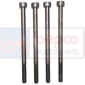 SCREW SET         , Massey Ferguson, 300 - 364AP