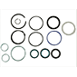 GASKET KIT EXTERIOR CYLINDER         , Fendt, Farmer 200 - 207S