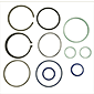 GASKET KIT EXTERIOR CYLINDER 100MM        , Fendt, Favorit 900 - 926