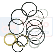 RAM SEAL KIT , Massey Ferguson, distribution-couplers-screw jacks, Hydraulic distributors, Miscelleanous feeders, 1606737M93, , RAM SEAL KIT , 30/807-2, 1606737M93, , 0.10 kg