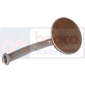 STRAINER         , Zetor, UR II - 9145