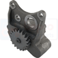 OIL PUMP         , Massey Ferguson,  - 487