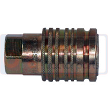 Q/R FEMALE 3/4 JIC , Massey Ferguson, 100 - 158F, distribution-couplers-screw jacks, Quick couplings, Specific couplers by mark, 1610606M4, 1680263M1, , Q/R FEMALE 3/4 JIC , 69/906-3, 1610606M4, 1680263M1, , 0.37 kg