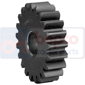 OIL PUMP GEAR         , Ford, Dexta - Super Dexta